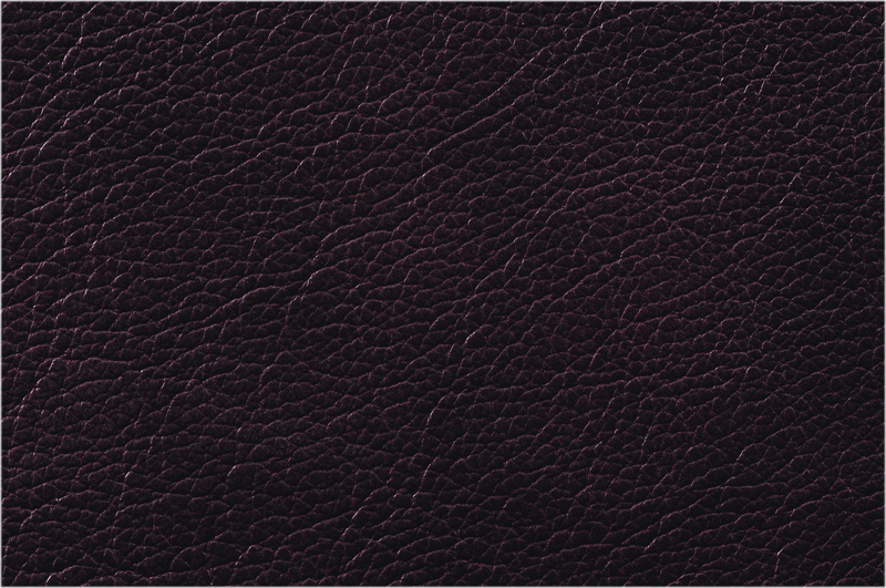 Adcock 8 Drawer 59.5'' W Solid Wood Double Dresser with Mirror