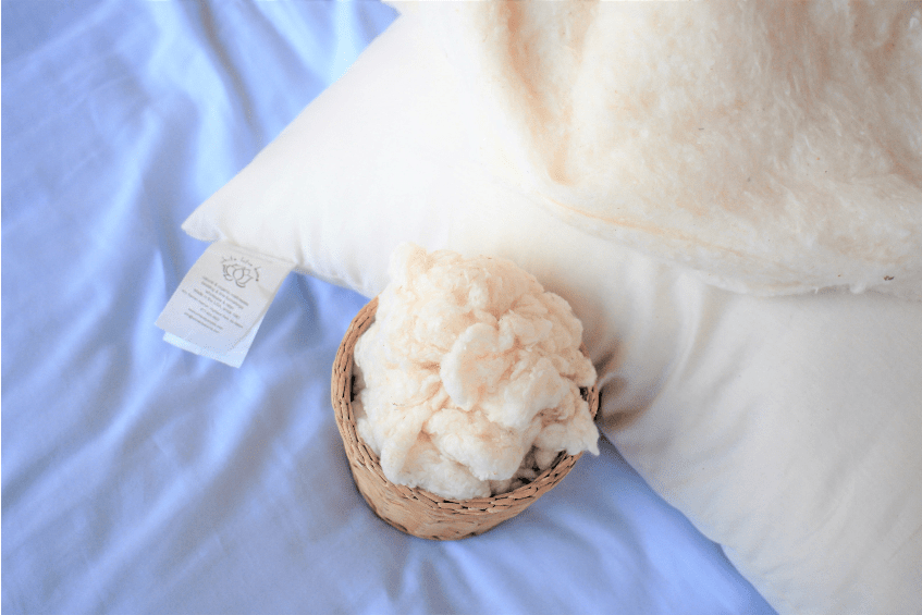 Organic Cotton Sleep Pillows