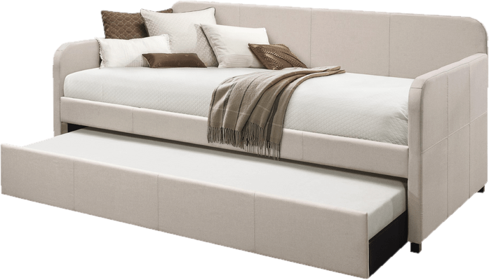 Plunkett Twin Daybed with Trundle
