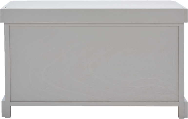 Santa Cruz Upholstered Cubby Storage Bench