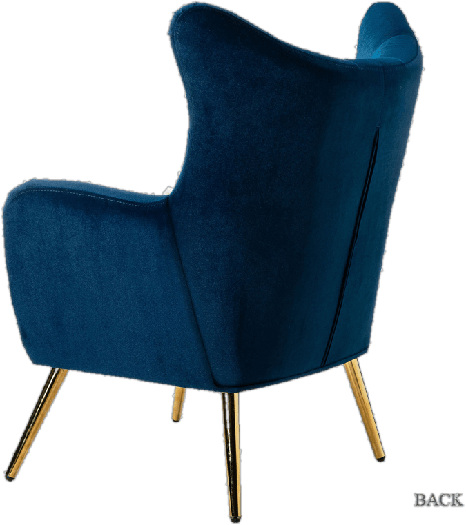 Dowdle 29.25'' Wide Tufted Velvet Wingback Chair