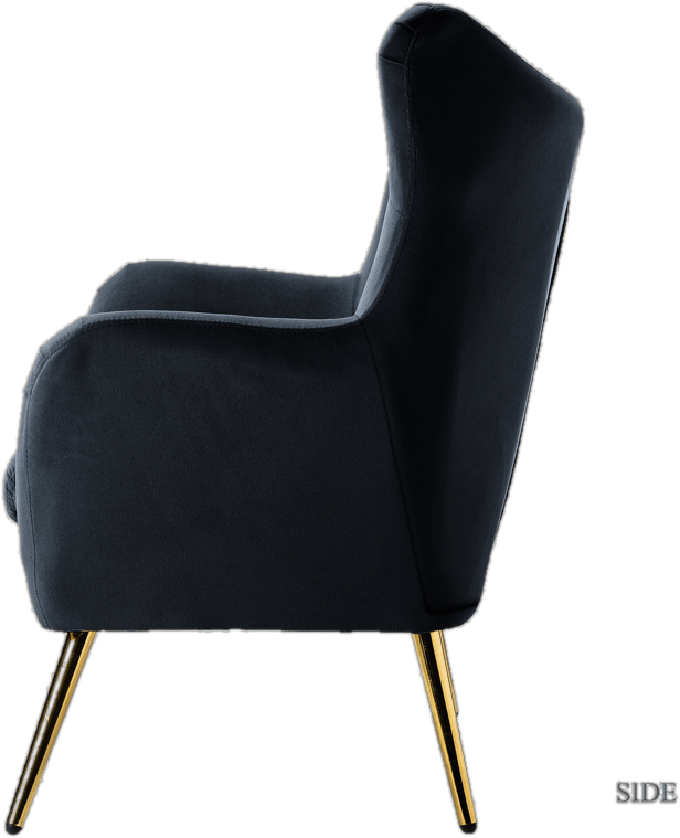 Dowdle 29.25'' Wide Tufted Velvet Wingback Chair