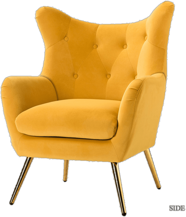 Dowdle 29.25'' Wide Tufted Velvet Wingback Chair