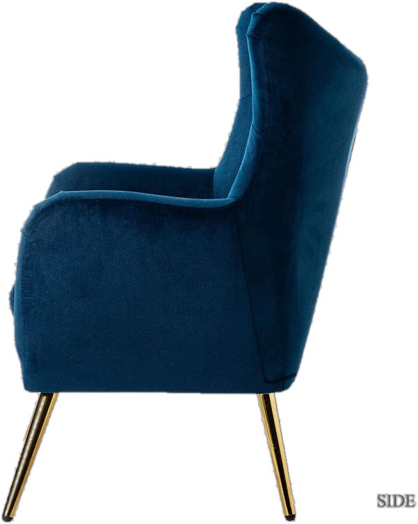 Dowdle 29.25'' Wide Tufted Velvet Wingback Chair