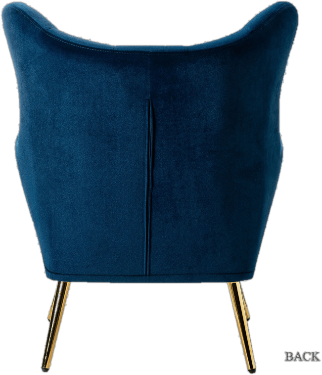 Dowdle 29.25'' Wide Tufted Velvet Wingback Chair