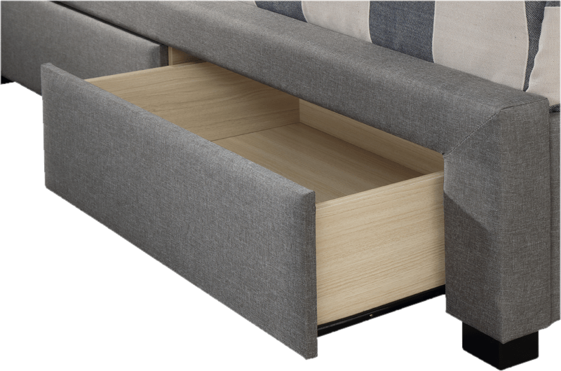 Aadya Tufted Upholstered Storage Standard Bed