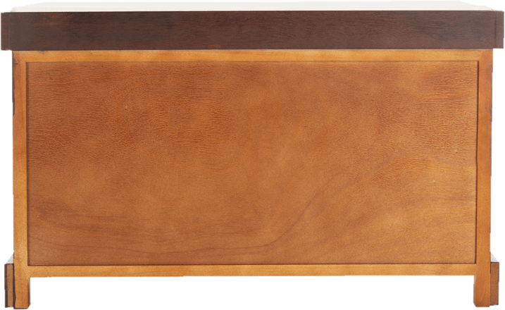 Santa Cruz Upholstered Cubby Storage Bench